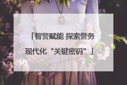 智警赋能 探索警务现代化“关键密码”