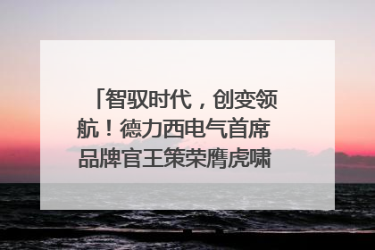 智驭时代，创变领航！德力西电气首席品牌官王策荣膺虎啸奖年度品牌人物