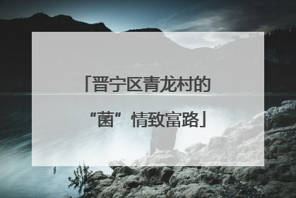 晋宁区青龙村的“菌”情致富路