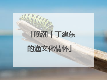 晚潮｜丁建东的渔文化情怀
