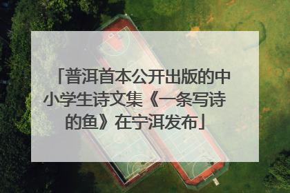 普洱首本公开出版的中小学生诗文集《一条写诗的鱼》在宁洱发布
