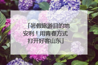 暑假旅游目的地安利！用青春方式打开好客山东