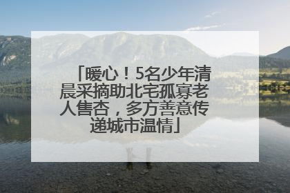 暖心！5名少年清晨采摘助北宅孤寡老人售杏，多方善意传递城市温情