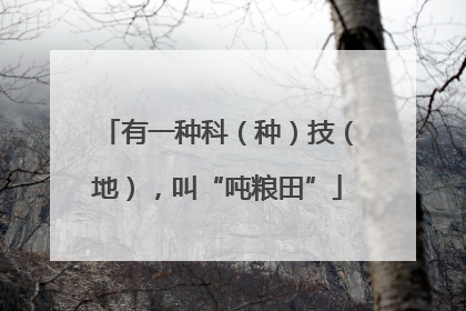 有一种科（种）技（地），叫“吨粮田”