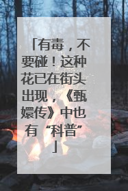 有毒，不要碰！这种花已在街头出现，《甄嬛传》中也有“科普”