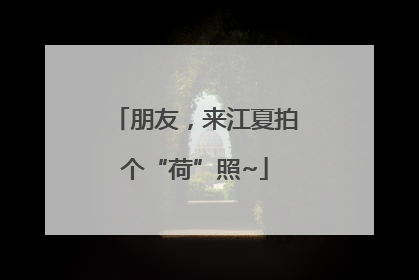 朋友，来江夏拍个“荷”照~