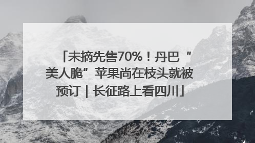 未摘先售70%！丹巴“美人脆”苹果尚在枝头就被预订｜长征路上看四川