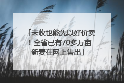 未收也能先以好价卖！全省已有70多万亩新麦在网上售出