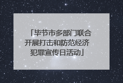 毕节市多部门联合开展打击和防范经济犯罪宣传日活动