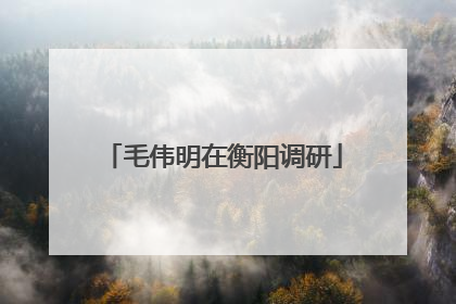 毛伟明在衡阳调研