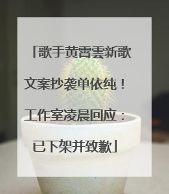 歌手黄霄雲新歌文案抄袭单依纯！工作室凌晨回应：已下架并致歉