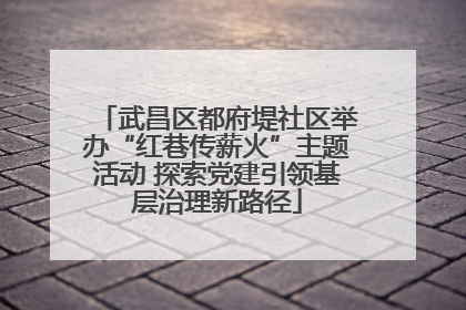 武昌区都府堤社区举办“红巷传薪火”主题活动 探索党建引领基层治理新路径
