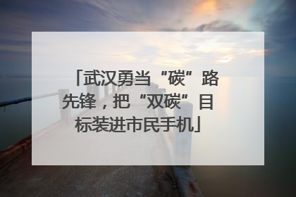 武汉勇当“碳”路先锋，把“双碳”目标装进市民手机