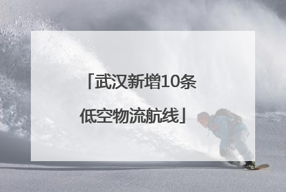 武汉新增10条低空物流航线