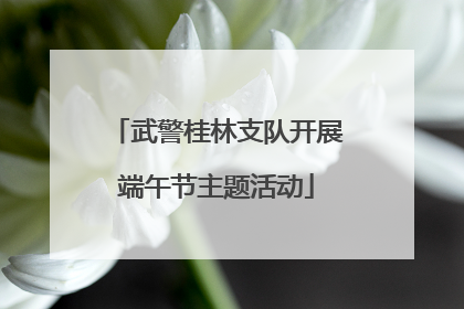 武警桂林支队开展端午节主题活动