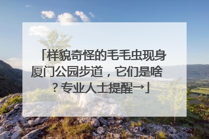 样貌奇怪的毛毛虫现身厦门公园步道，它们是啥？专业人士提醒→