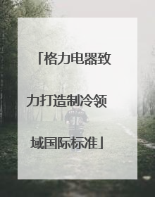 格力电器致力打造制冷领域国际标准
