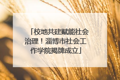 校地共建赋能社会治理！淄博市社会工作学院揭牌成立