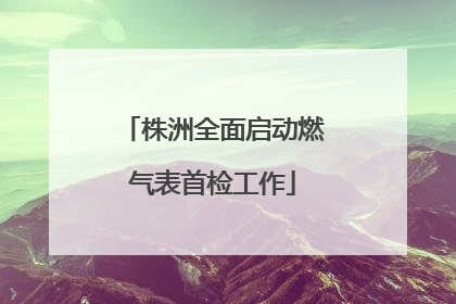株洲全面启动燃气表首检工作