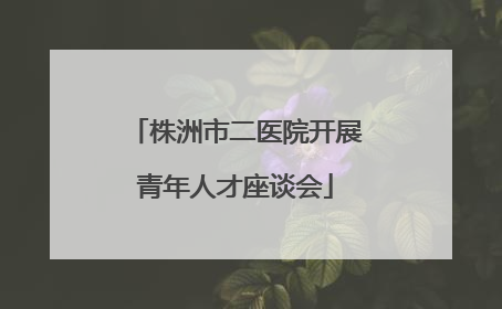株洲市二医院开展青年人才座谈会