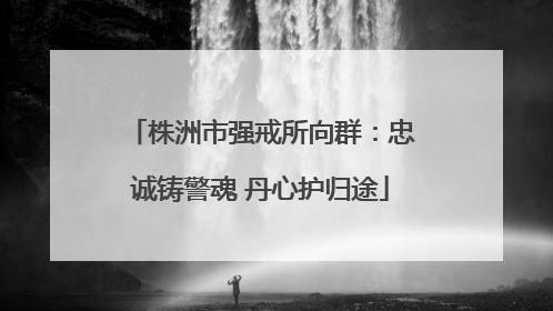 株洲市强戒所向群：忠诚铸警魂 丹心护归途