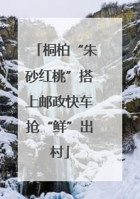 桐柏“朱砂红桃”搭上邮政快车抢“鲜”出村