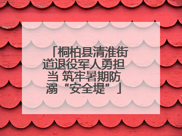 桐柏县清淮街道退役军人勇担当 筑牢暑期防溺“安全堤”
