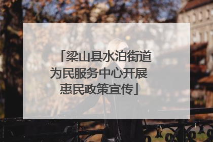 梁山县水泊街道为民服务中心开展惠民政策宣传