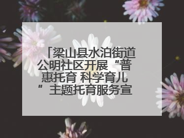 梁山县水泊街道公明社区开展“普惠托育 科学育儿”主题托育服务宣传活动