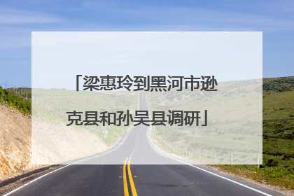 梁惠玲到黑河市逊克县和孙吴县调研