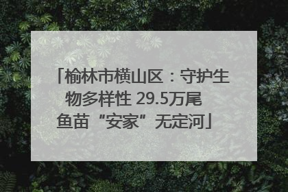 榆林市横山区：守护生物多样性 29.5万尾鱼苗“安家”无定河