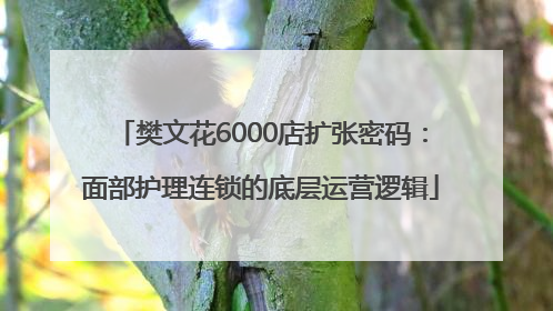 樊文花6000店扩张密码：面部护理连锁的底层运营逻辑