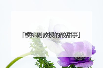 樱桃副教授的酸甜事