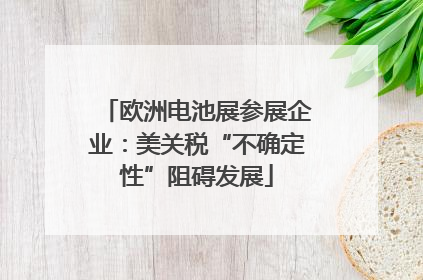 欧洲电池展参展企业：美关税“不确定性”阻碍发展