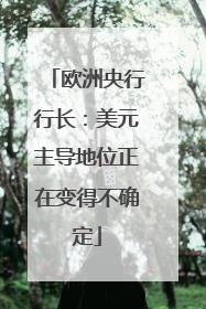 欧洲央行行长：美元主导地位正在变得不确定