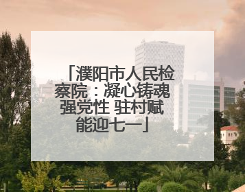 濮阳市人民检察院：凝心铸魂强党性 驻村赋能迎七一