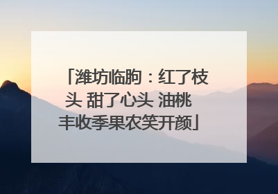 潍坊临朐：红了枝头 甜了心头 油桃丰收季果农笑开颜