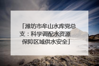 潍坊市牟山水库党总支：科学调配水资源 保障区域供水安全