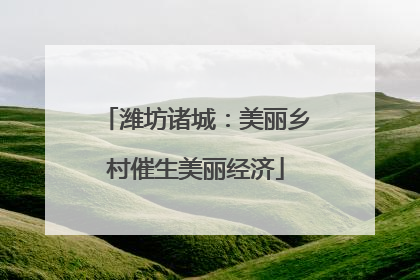 潍坊诸城：美丽乡村催生美丽经济