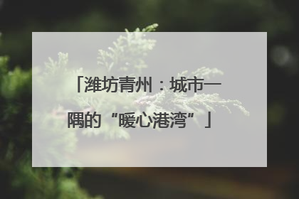 潍坊青州：城市一隅的“暖心港湾”
