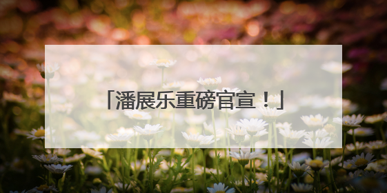 潘展乐重磅官宣！