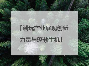 潮玩产业展现创新力量与蓬勃生机