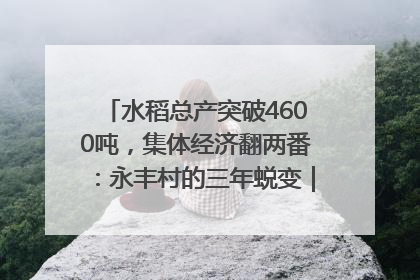 水稻总产突破4600吨，集体经济翻两番：永丰村的三年蜕变｜您牵挂的四川