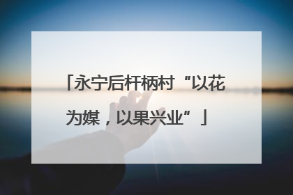 永宁后杆柄村“以花为媒，以果兴业”