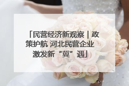 民营经济新观察｜政策护航 河北民营企业激发新“冀”遇
