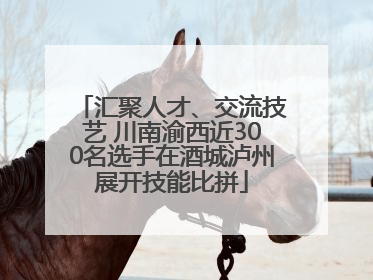 汇聚人才、交流技艺 川南渝西近300名选手在酒城泸州展开技能比拼