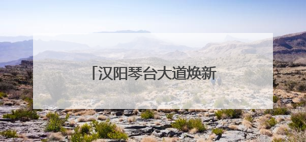 汉阳琴台大道焕新升级：道路扩容畅行，架空管线入廊