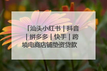 汕头小红书｜抖音｜拼多多｜快手｜跨境电商店铺垫资贷款企业-漫商易