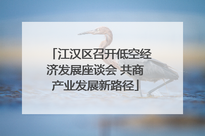 江汉区召开低空经济发展座谈会 共商产业发展新路径