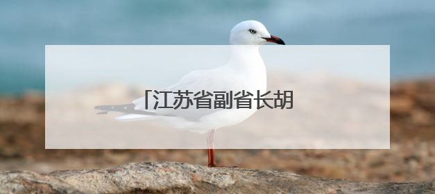 江苏省副省长胡彬郴，分工明确